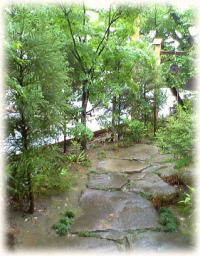image2193.jpg